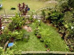Shelford Road (D11), Terrace #638180591
